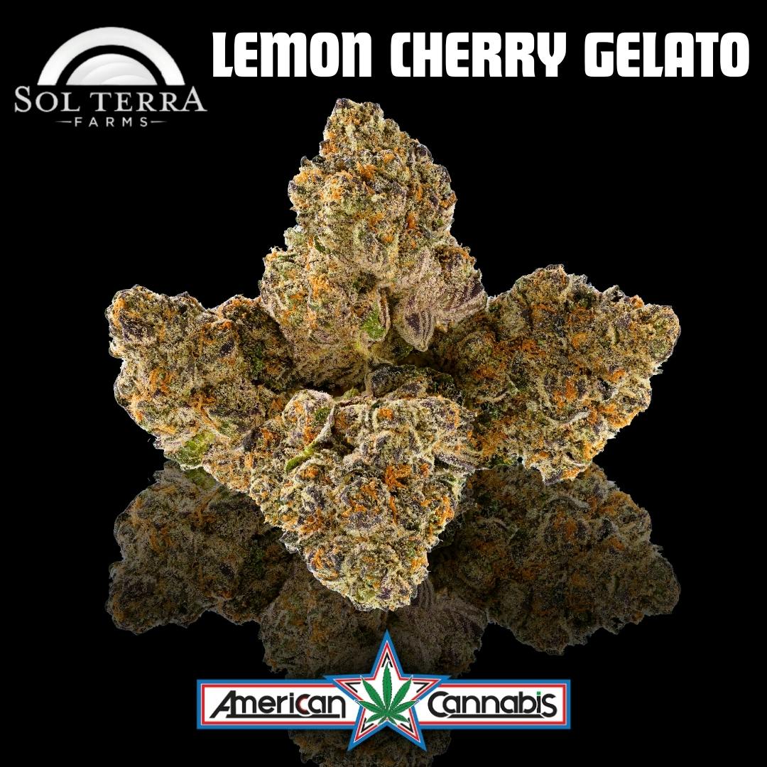 [Flower] Sol Terra Lemon Cherry Gelato 14g [Hybrid]