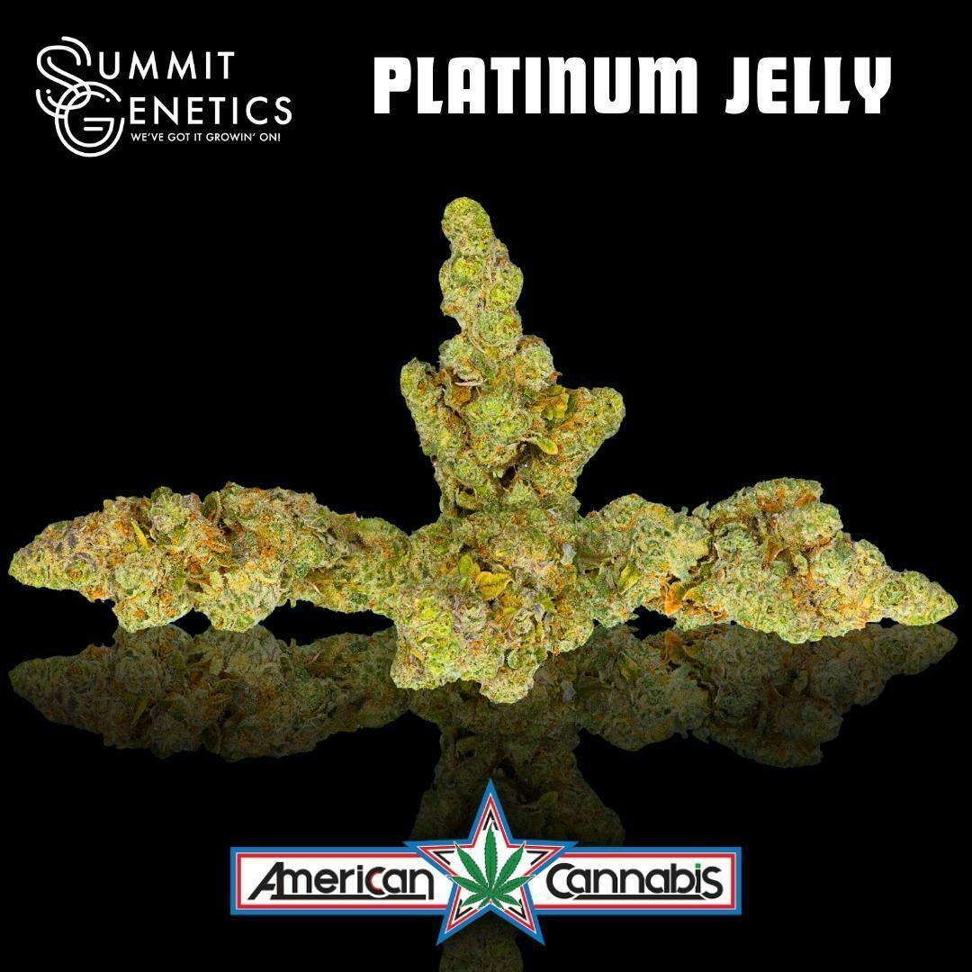 [Flower] Summit Genetics Platinum Jelly 3.5g [Hybrid]