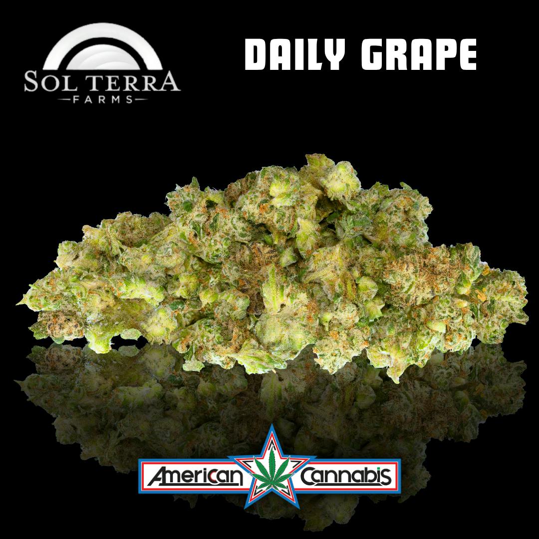 [Flower] Sol Terra Daily Grape 3.5g [Indica]