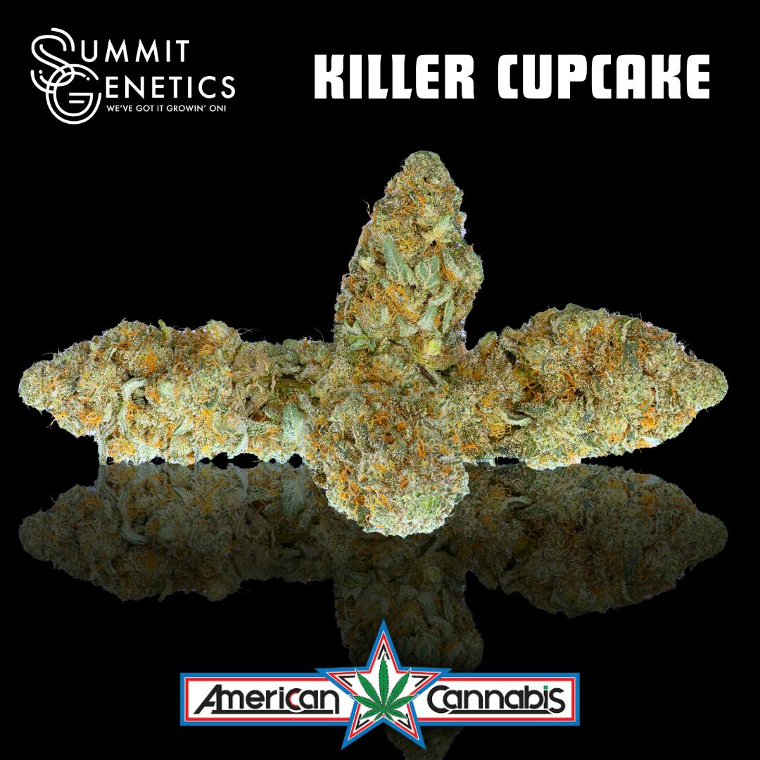 Killer Cupcake