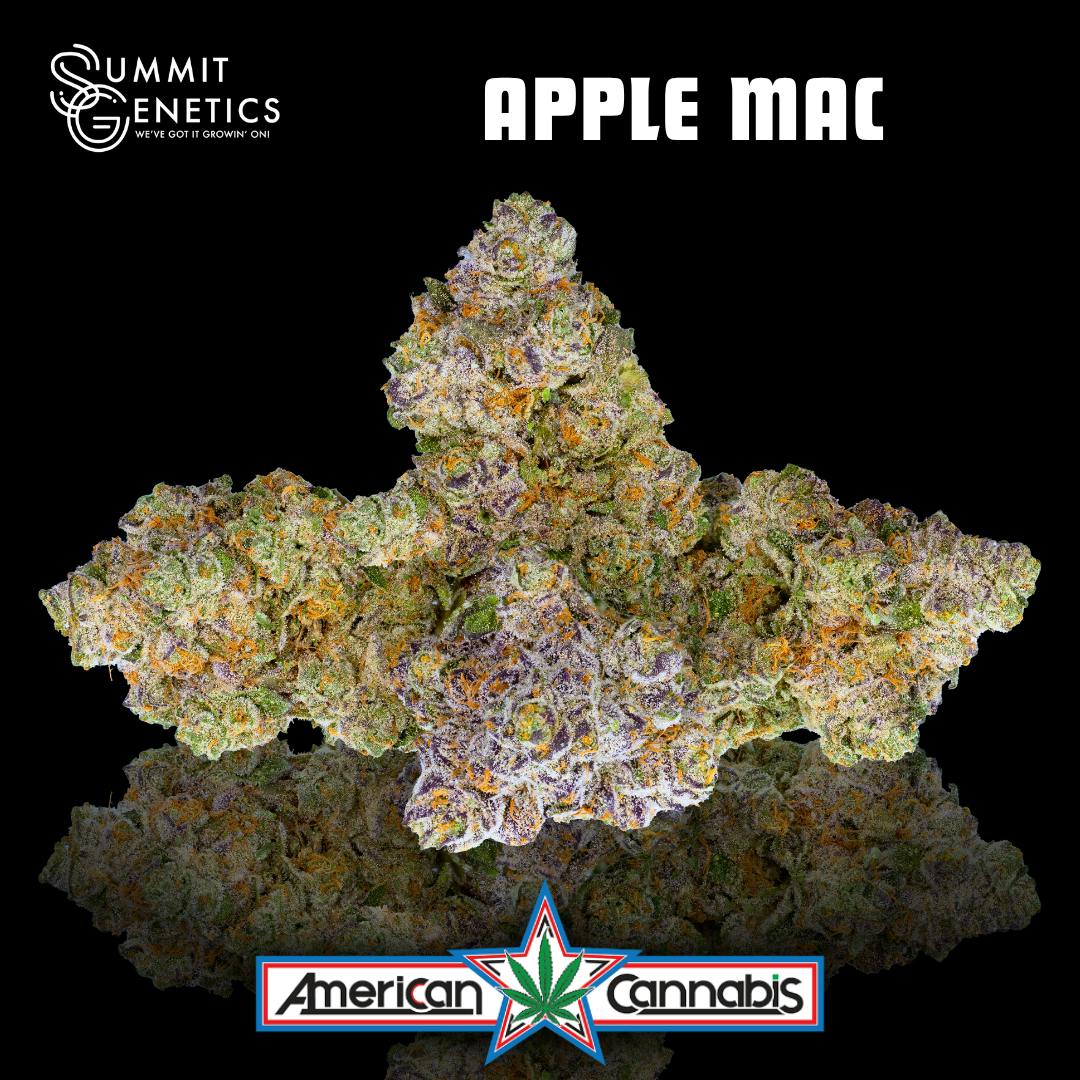 [Flower] Summit Genetics Apple Mac 14g [Hybrid]
