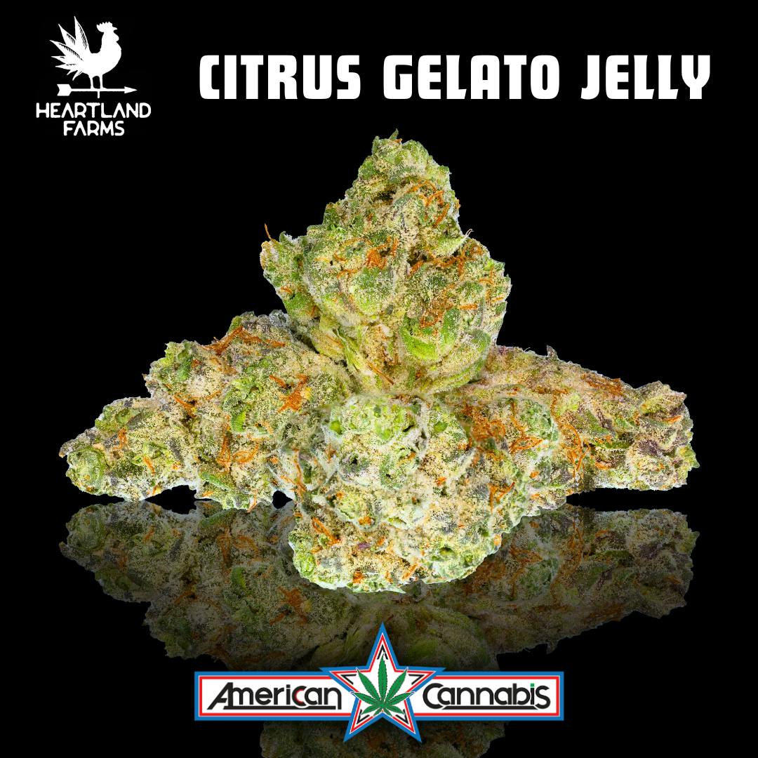 Citrus Gelato Jelly