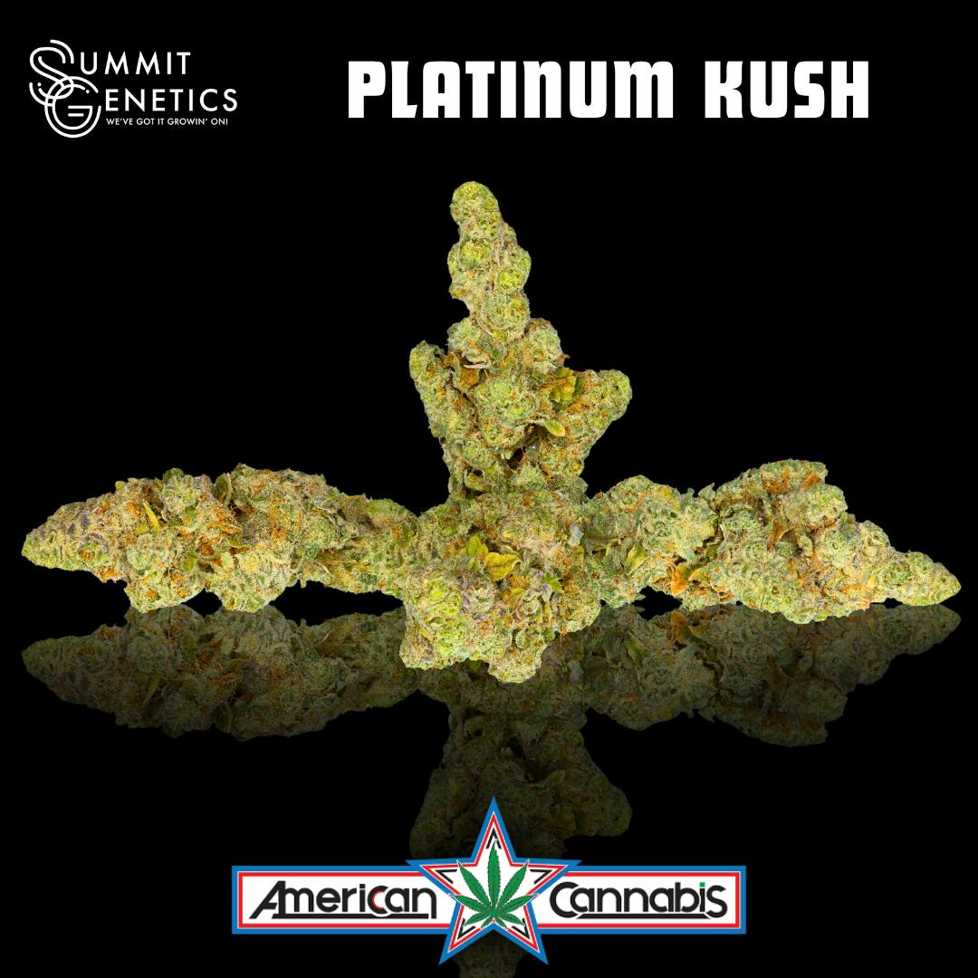 [Flower] Summit Genetics Platinum Kush 14g [Hybrid]