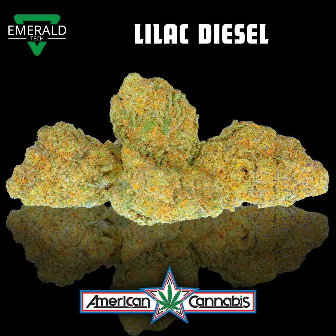 Technologies Lilac Diesel