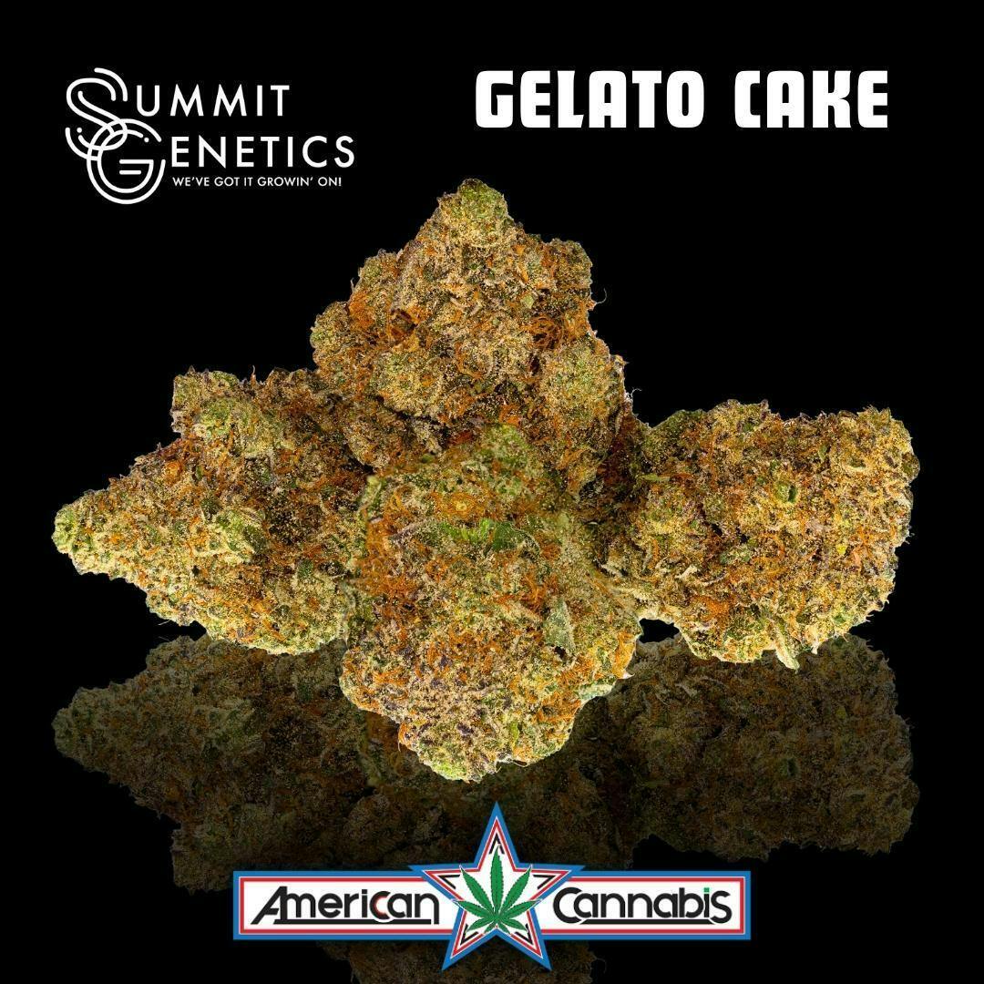 Gelato Cake