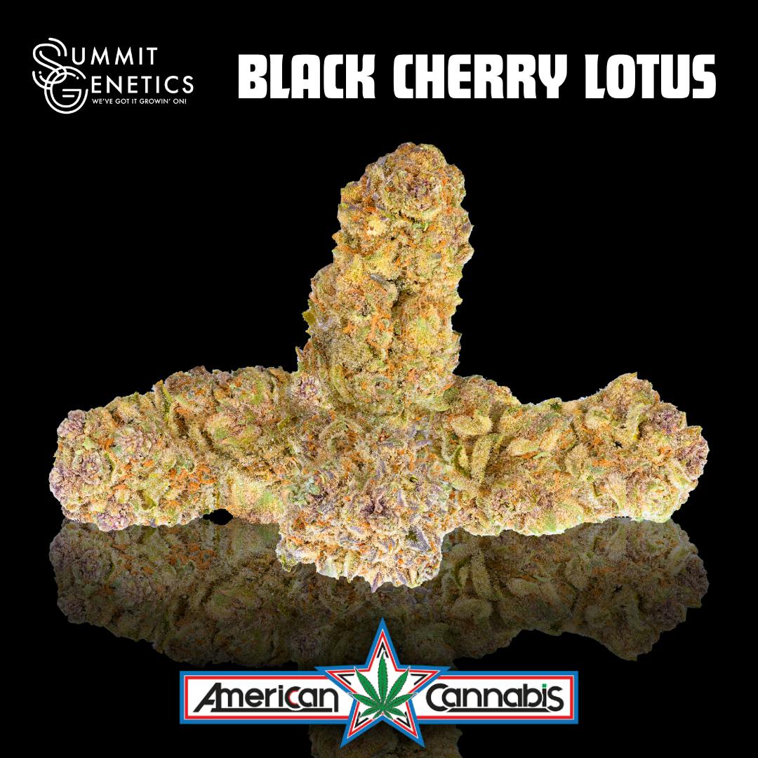 [Flower] Summit Genetics Black Cherry Lotus 14g [Hybrid]
