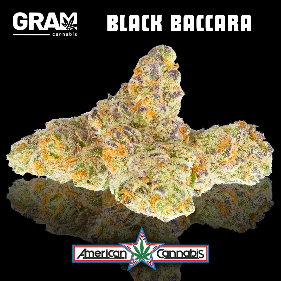 [Flower] GRAM Black Baccara 4g [Hybrid]
