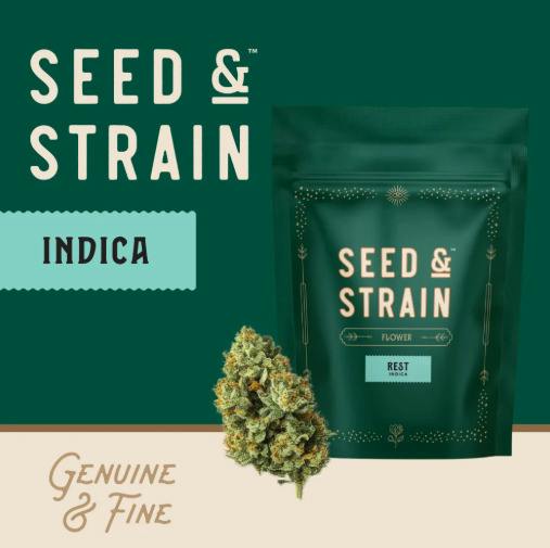 Berried Alive Pre-Packaged (14g) (Seed & Strain)
