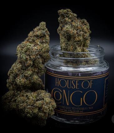 House of Congo — Cap Junky