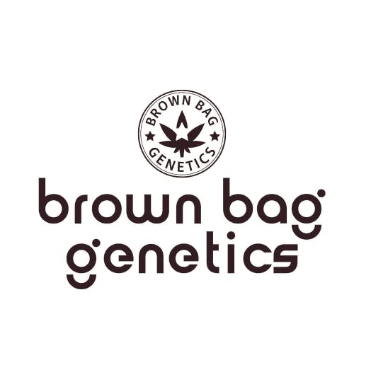 Brown Bag Pre-ground — Amnesia Haze