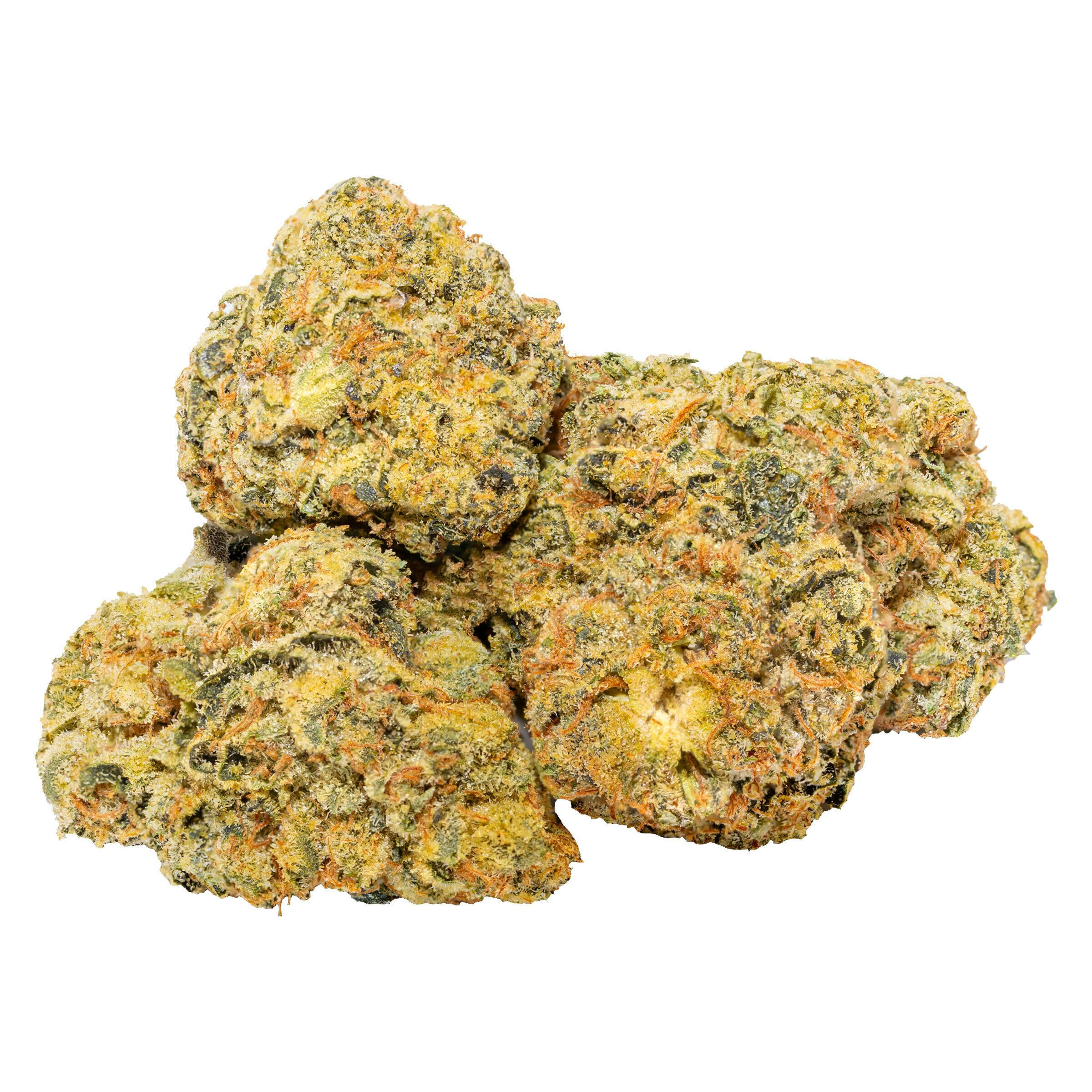 Zip (Georgia Cream) 28g Dried Flower (3.04% TERPS) F-K