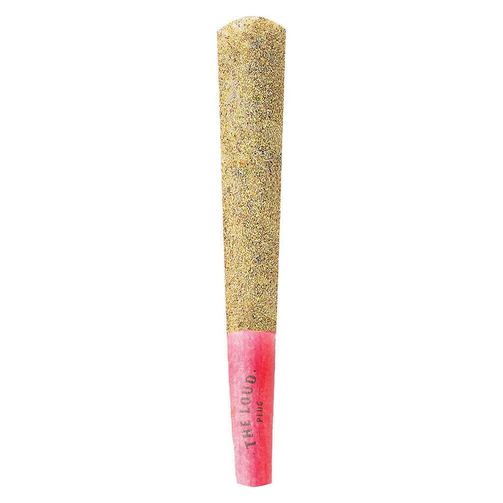 Drippyz Dragonfruit Rntz Infused Pre-Roll 1x1g Distillates Q211