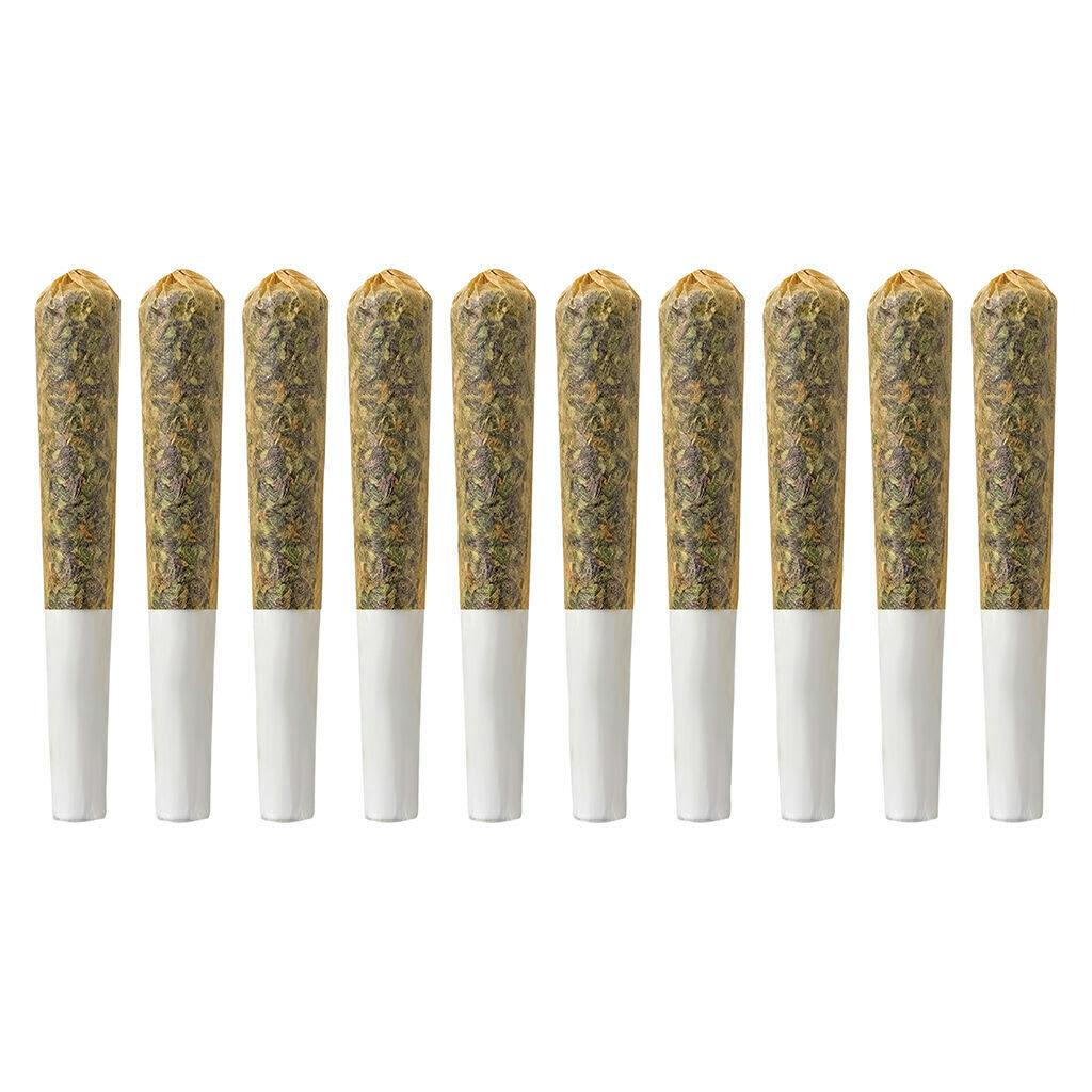 Payday Pre-Roll Pack (Frosted Cookies) 60x0.5g Pre-Rolls A391