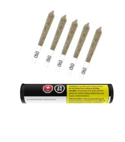 Comatose Pre-Roll 5x0.5g Pre-Rolls (3.3% TERPS) Q026