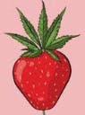 Aom Fried Strawberries