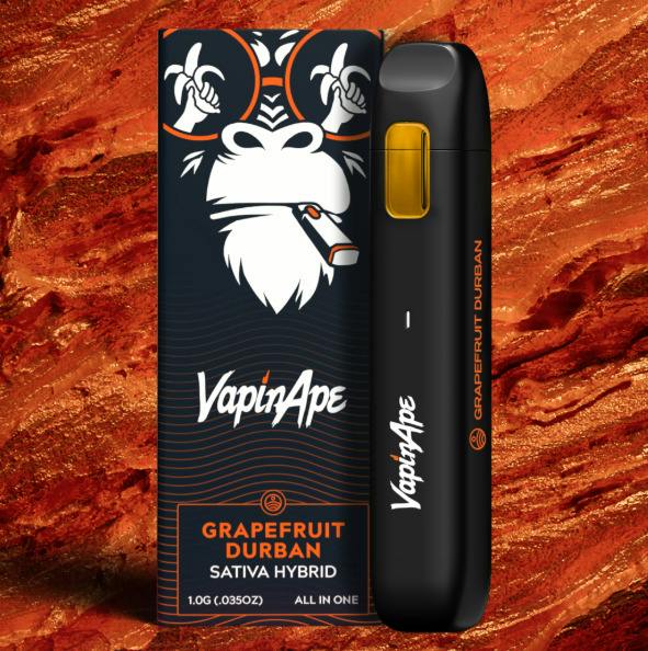Grapefruit Durban - All-in-One