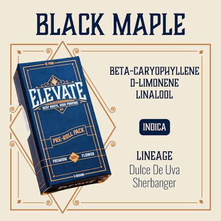Black Maple - 5g - 10pk