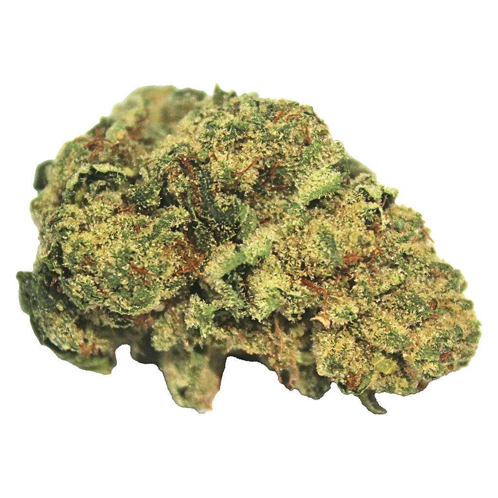 DG - Hash Plant - Hybrid - 7g