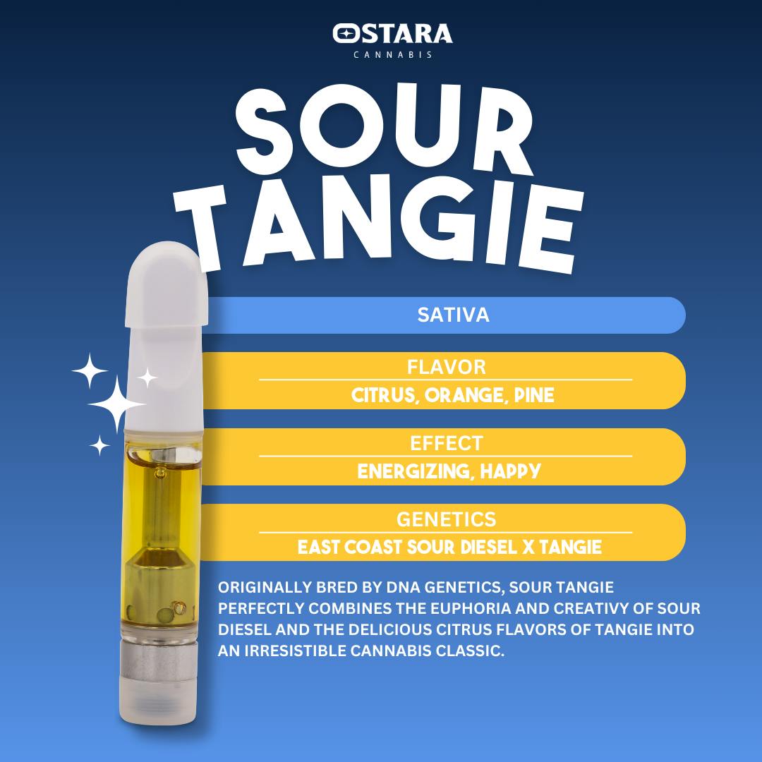 SOUR TANGIE || 1G DISPOSABLE