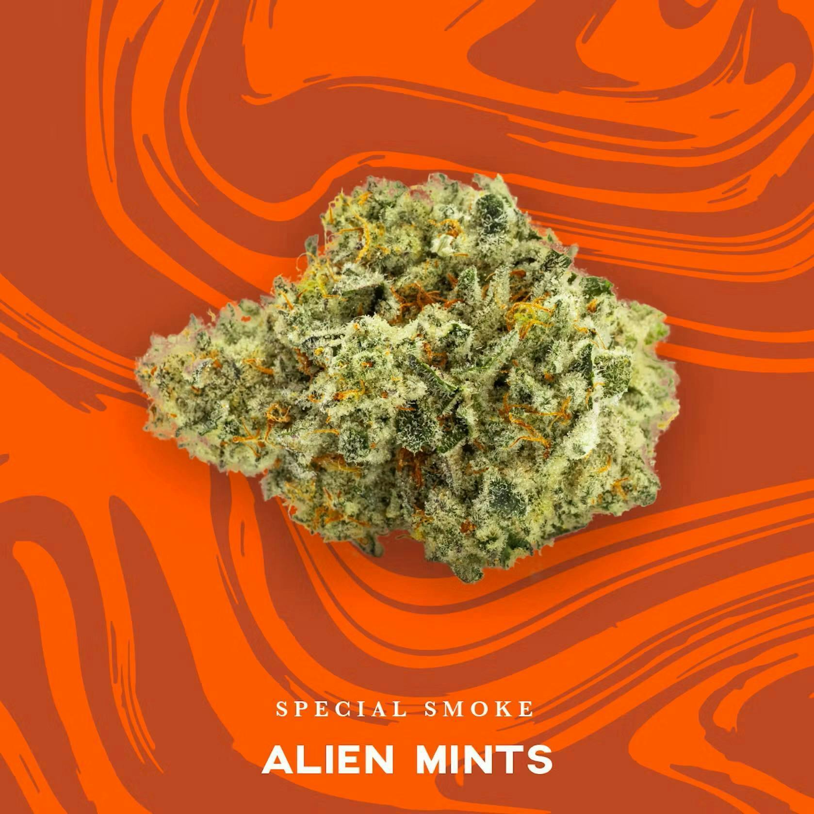 ALIEN MINTZ || DELI STYLE - POPCORN