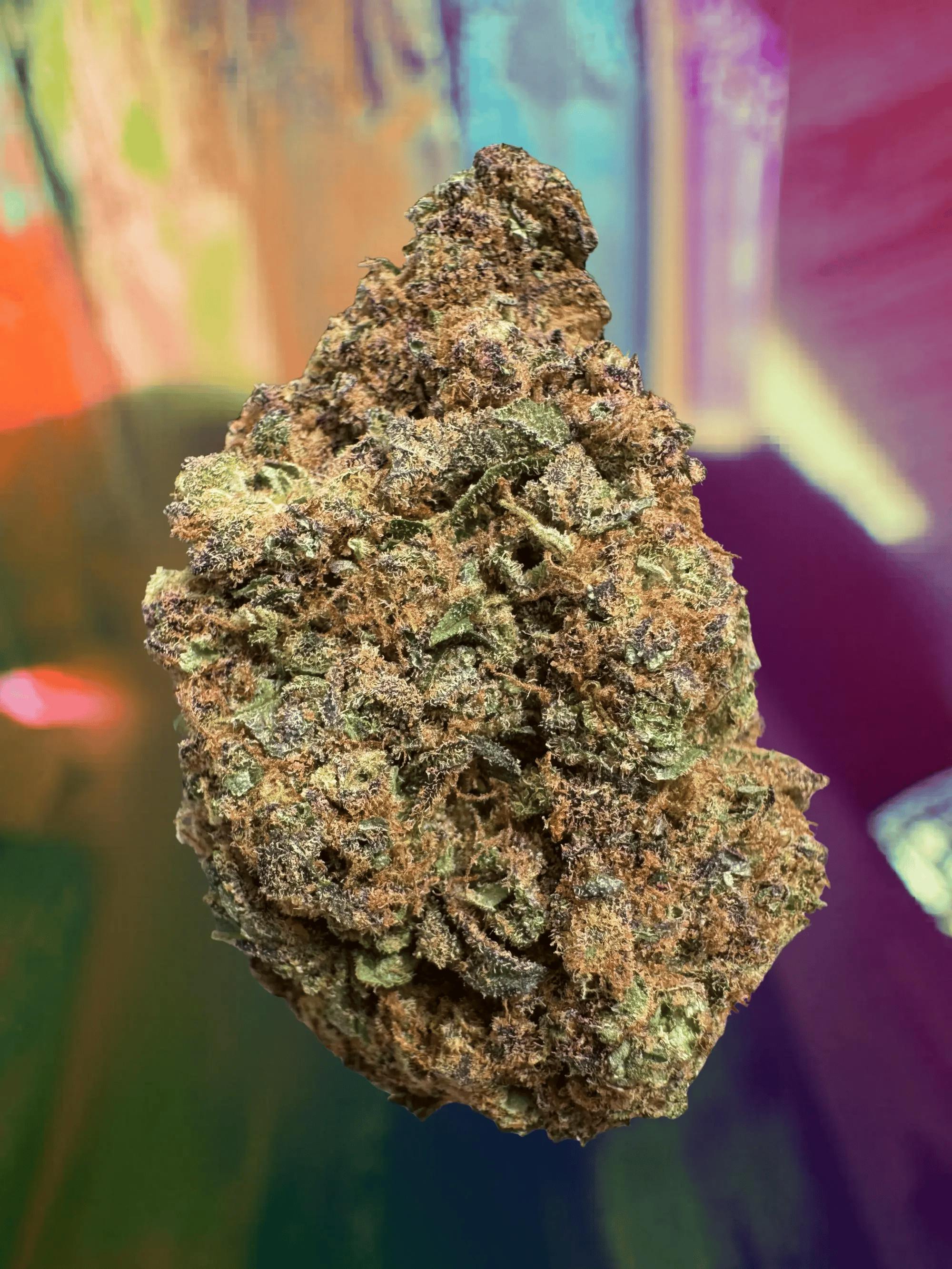 Verist Fields - 3.5g Flower - Torch Top (I/H) at Legacy Cannabis