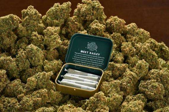 Dogwalkers - .35g Pre-Roll 5 Pack - Brownie Scout (I/H)