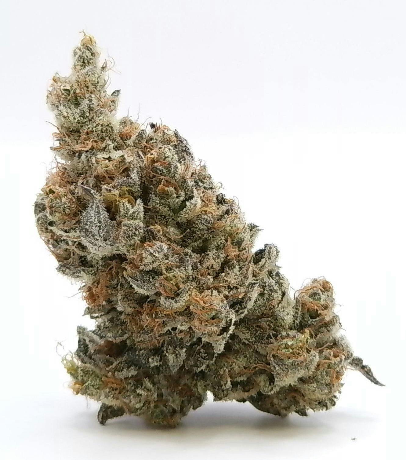 Valhalla 3.5g Flower - Mandarin Cookies (H)