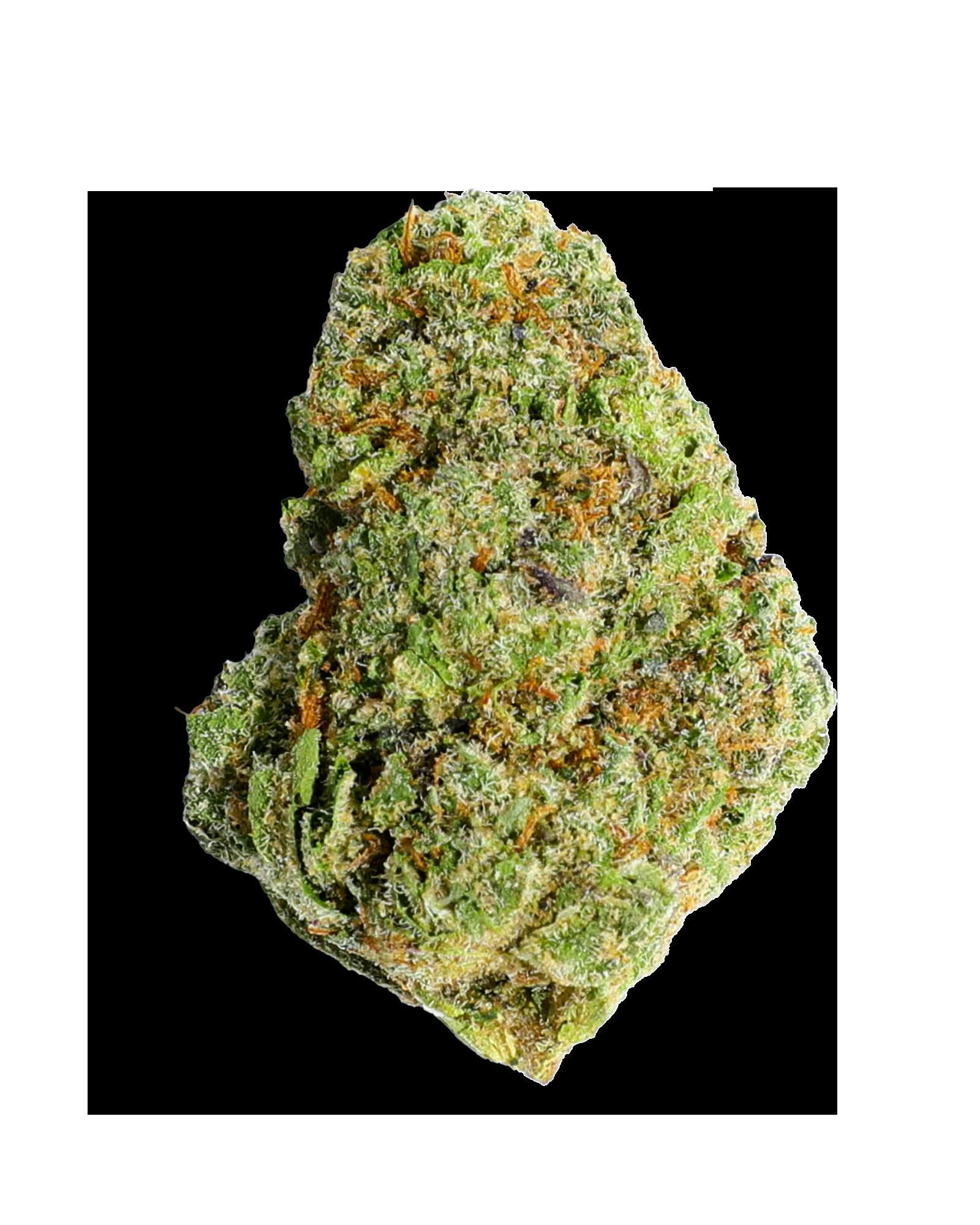 CANDY ENVY 3.5G