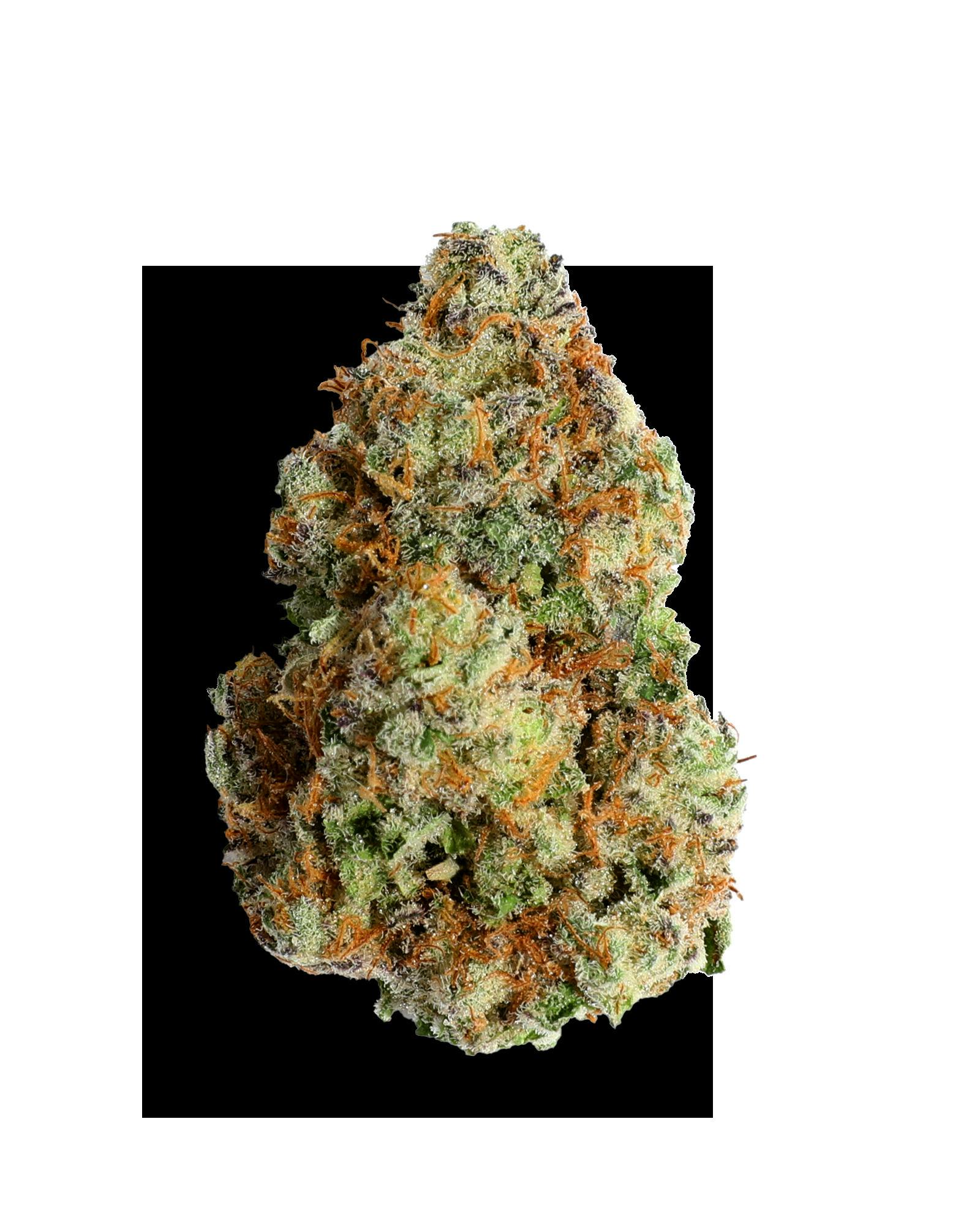 BLOCKBERRY 1OZ