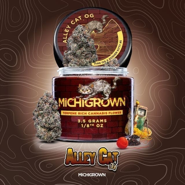 MICHIGROWN ALLEY CAT OG JAR