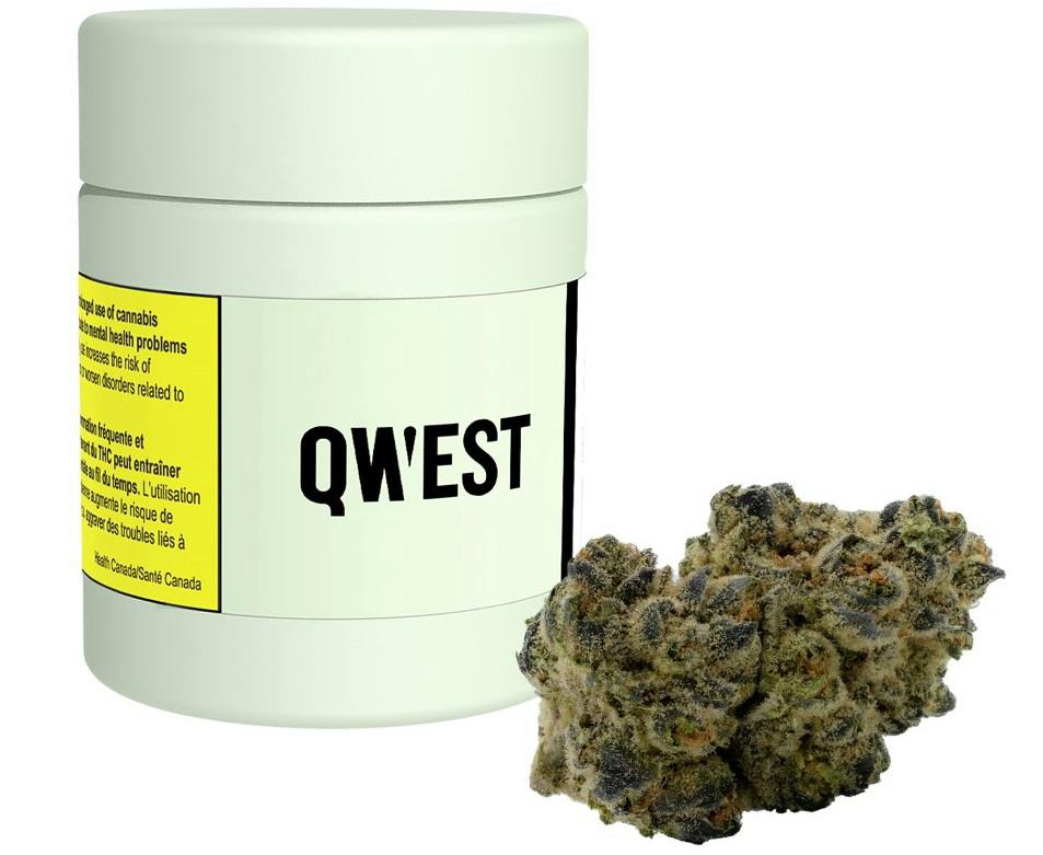 QWEST - Stuffed French Toast - 3.5g