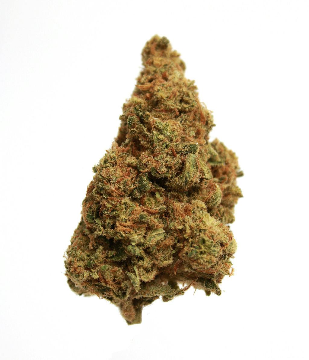 Tical Ruckus 3.5 g