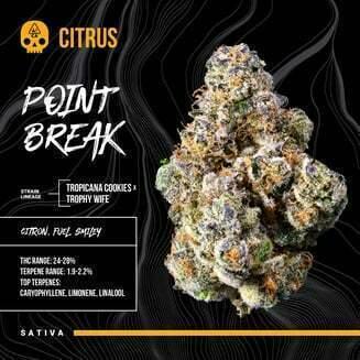 Point Break at Mr. Humboldt Cannabis Dispensary