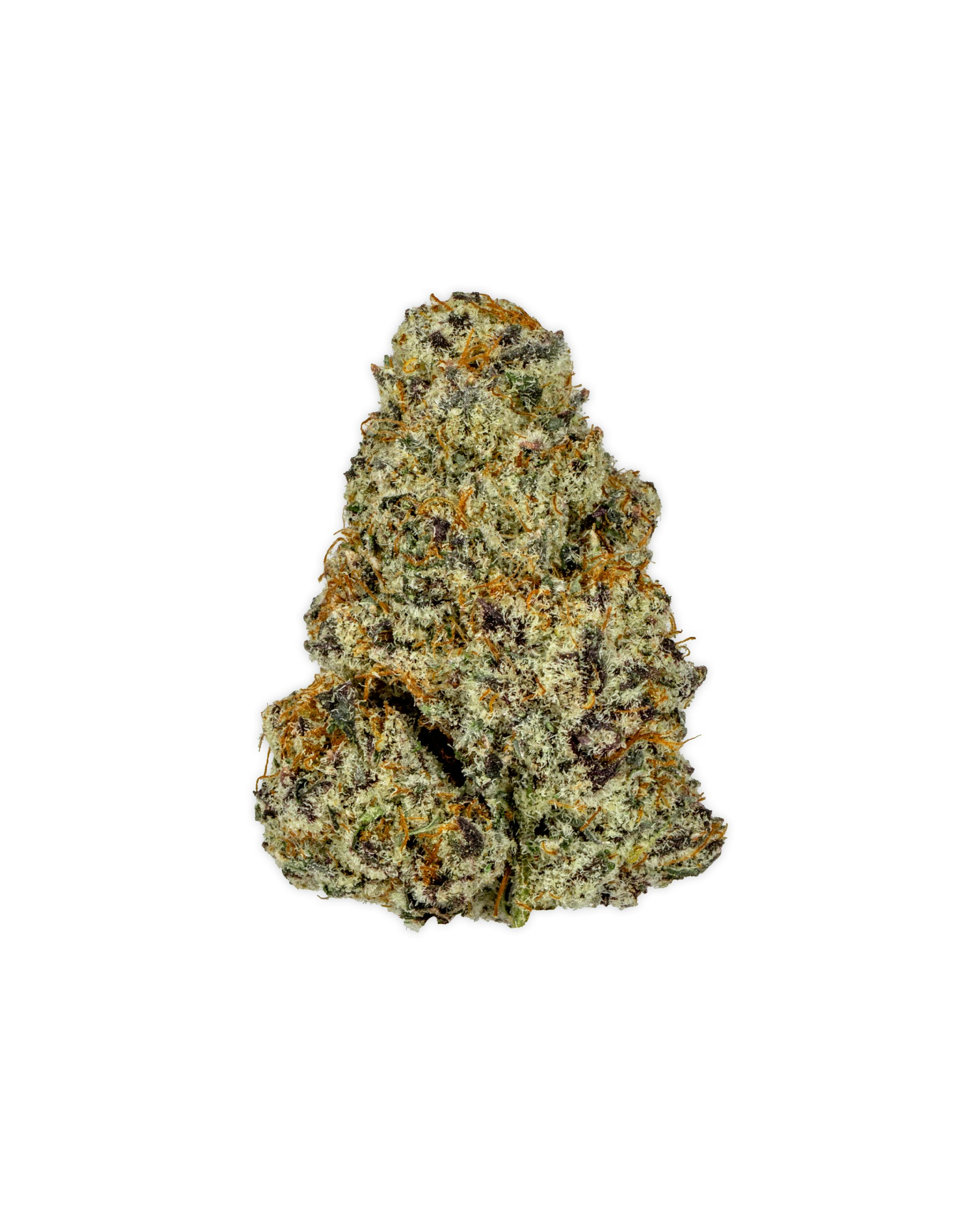 Indoor CROMAGNOMAN