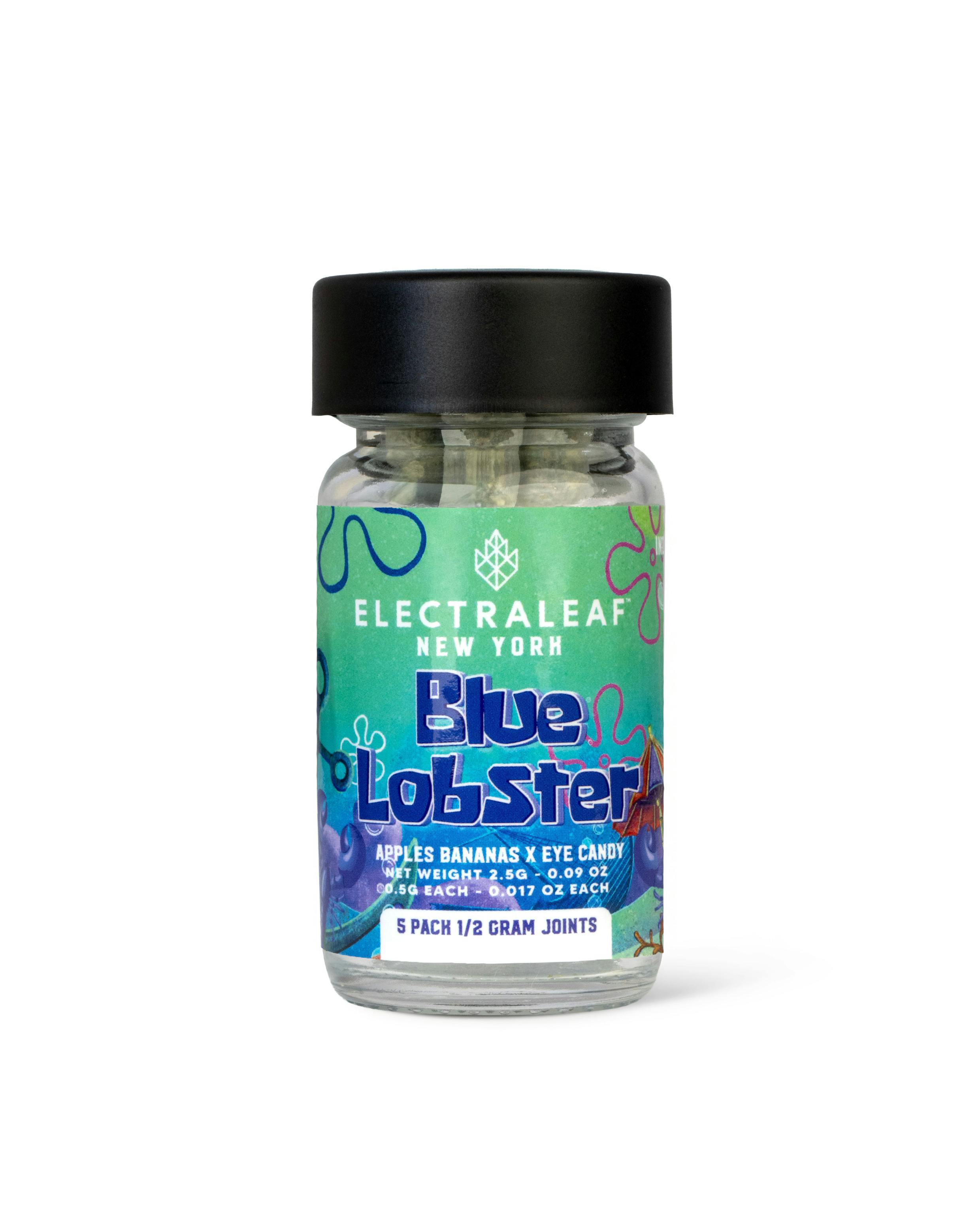 BLUE LOBSTER | 5-Pack