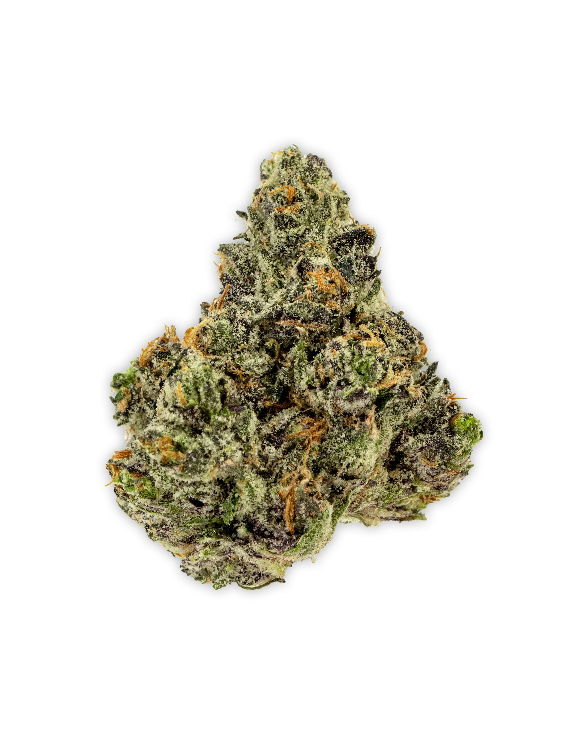 Indoor GELLO GELATO