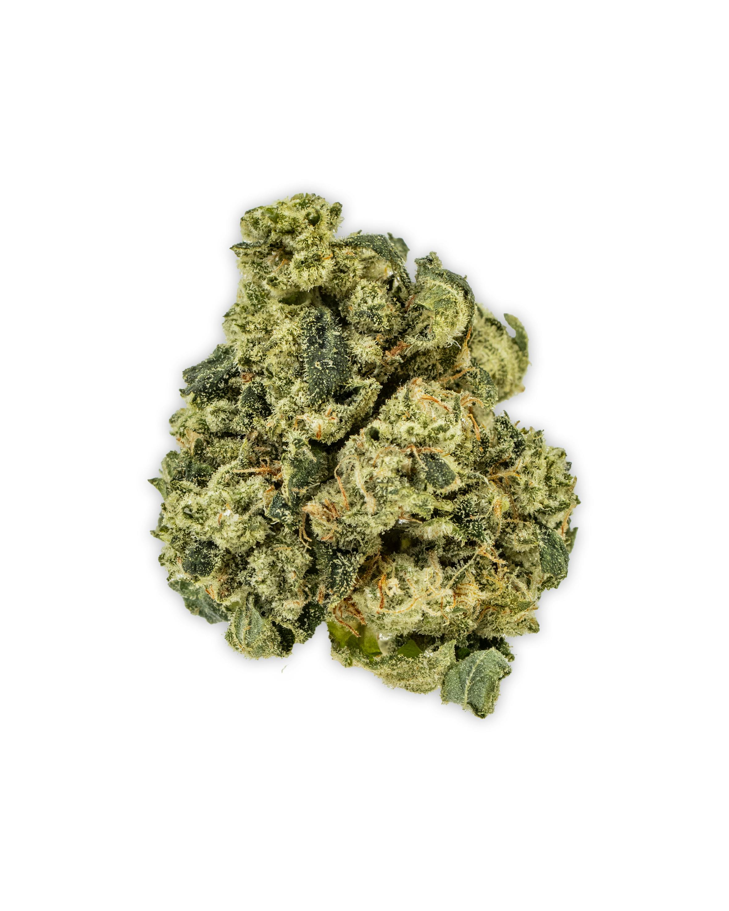 Indoor KOSHER KUSH