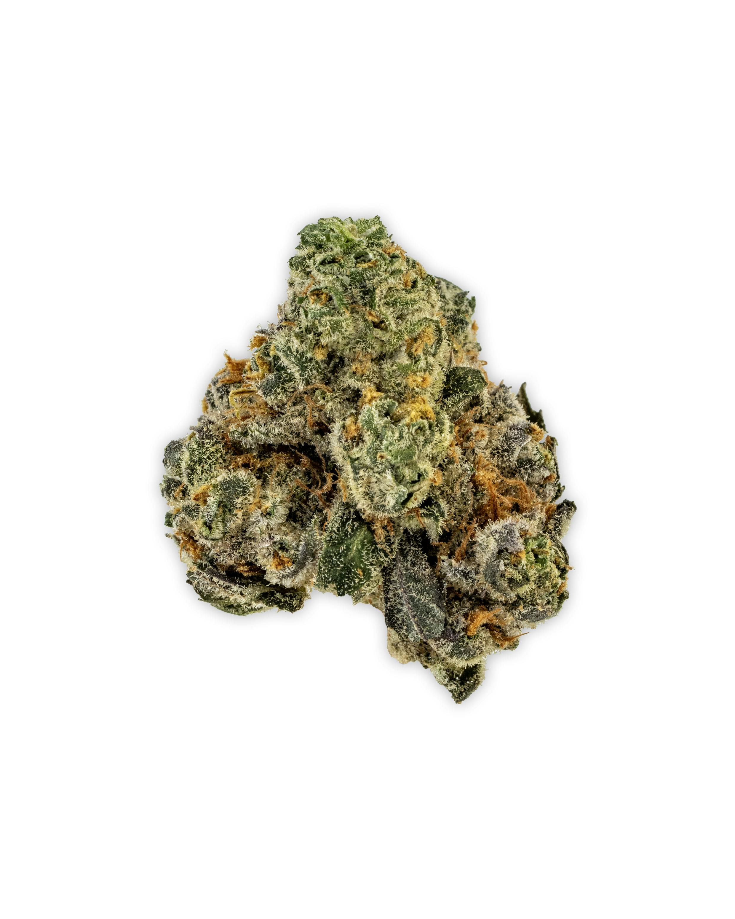 Indoor FANTASY MELONZ