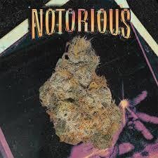 NOTORIOUS #1 - POPCORN - (14G)
