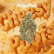 CHEESY POOFS - FLOWER - (3.5G)
