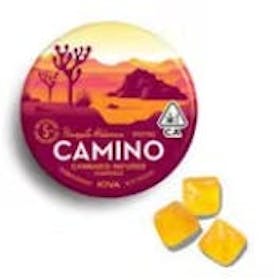 Camino - Pineapple Habanero 100Mg 10Pc