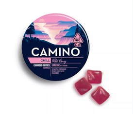 Camino - Wild Berry 100Mg