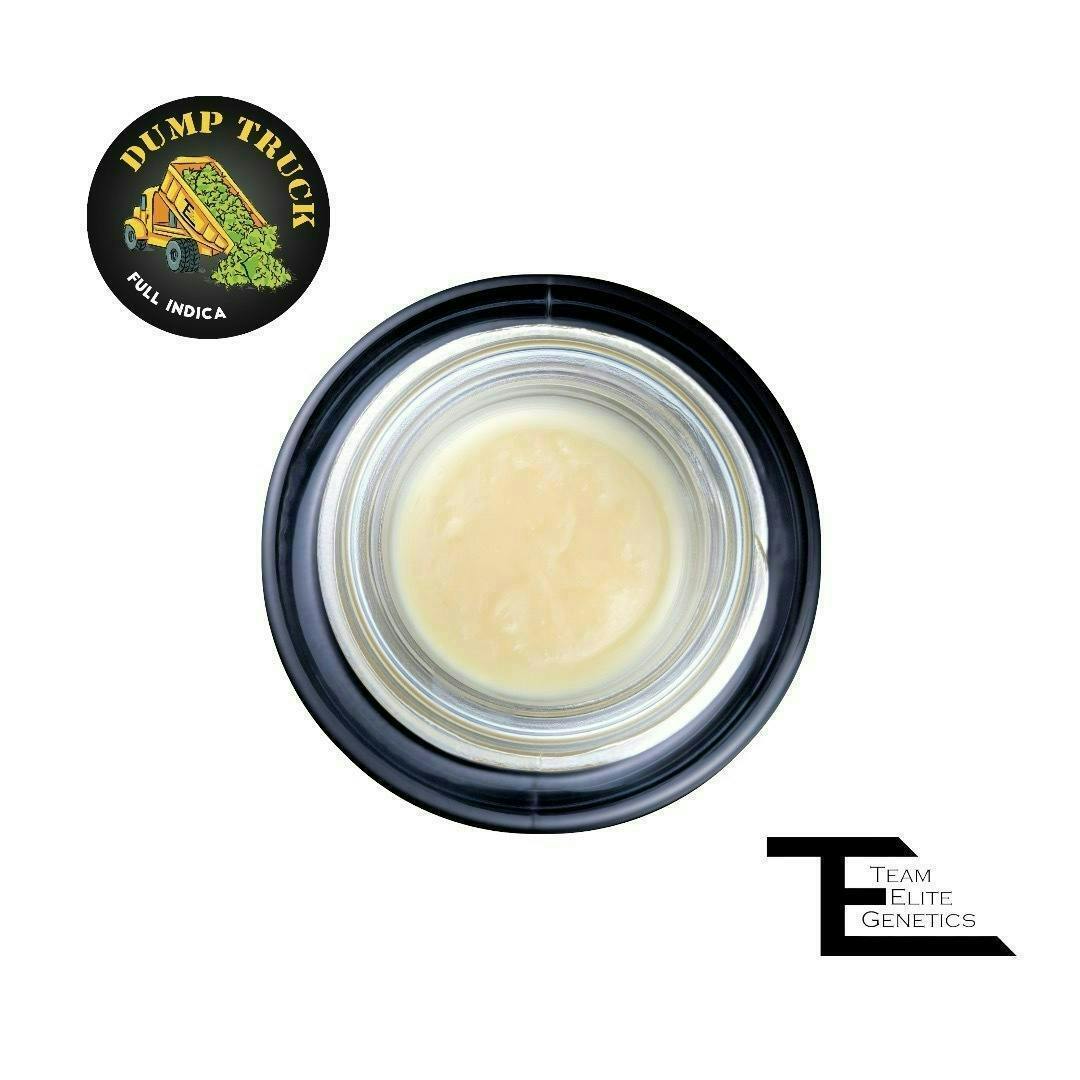 Dump Truck 1G Rosin