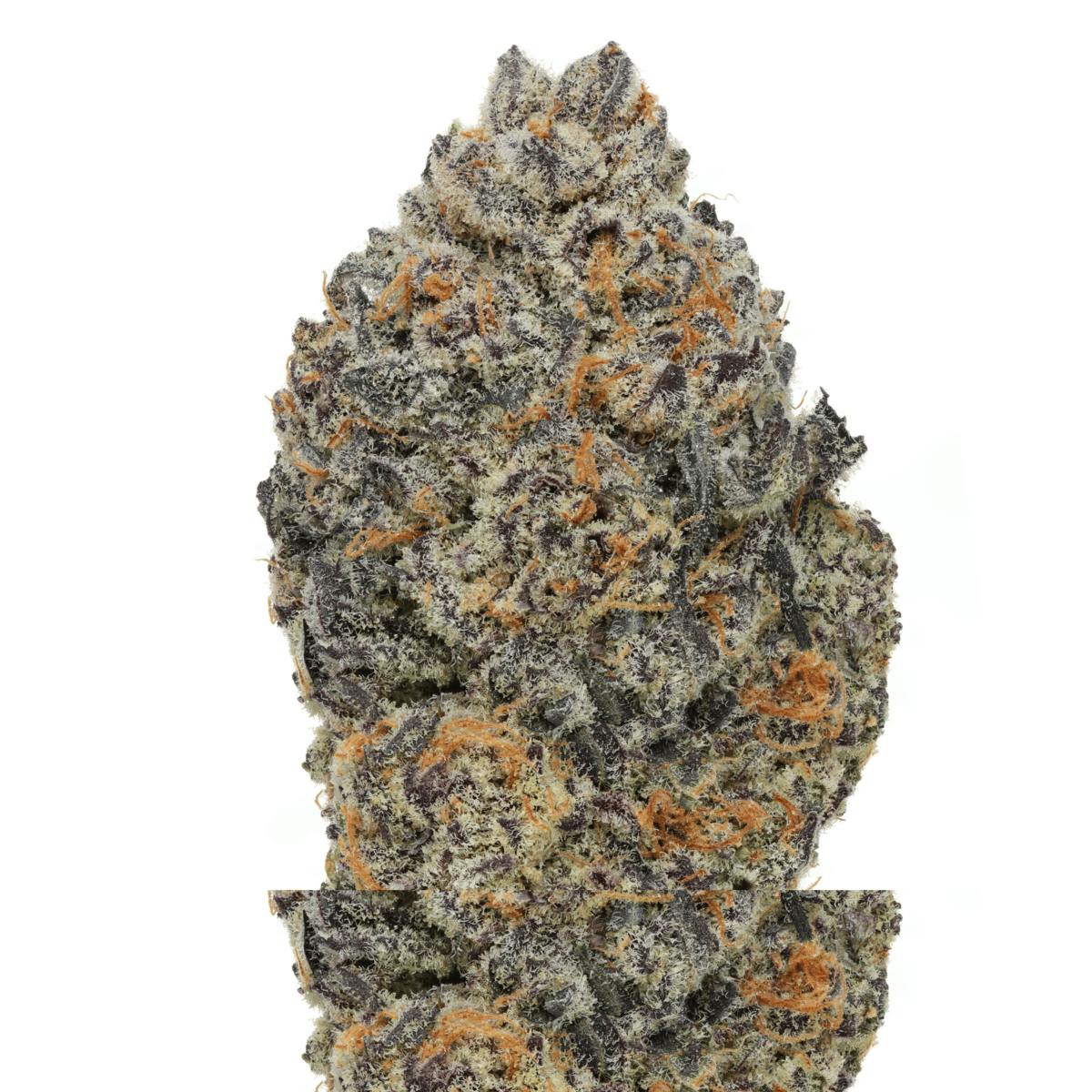 BLOOMBERRY | Hybrid | 3.5g Flower