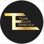 Team Elite Genetics - The Resistance Live Rosin Solventless AIO Vape 0.5g