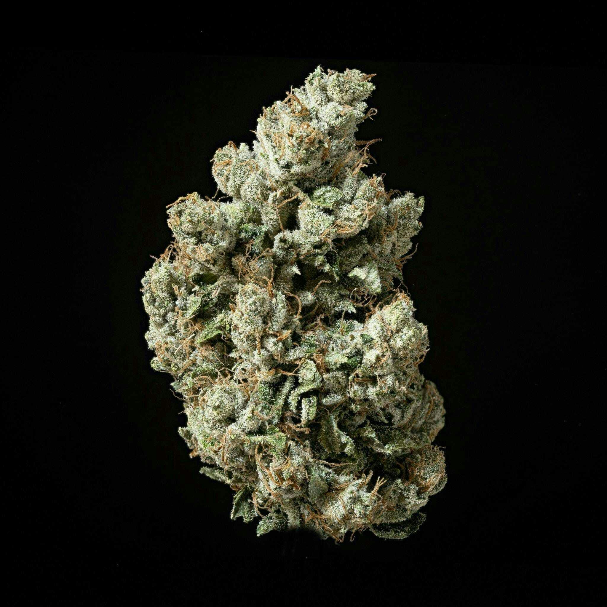 Lucky Blue -: Unknown OG Mylar
