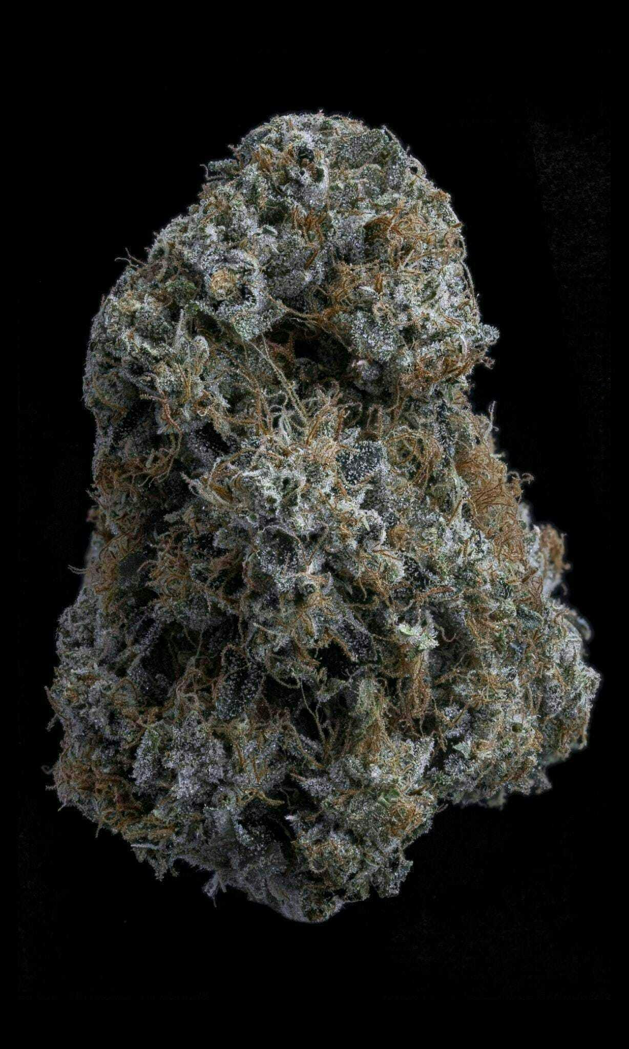Sticky Status: Gorilla Glue #4
