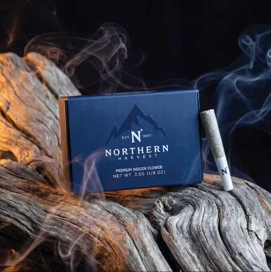 Northern Harvest - XJ-13 .35g Mini Preroll 10pk - 10 Pack Pre-Rolls