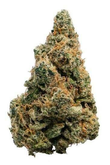 XOTX - XOTX | Lemon Up | 14g - Half Ounce