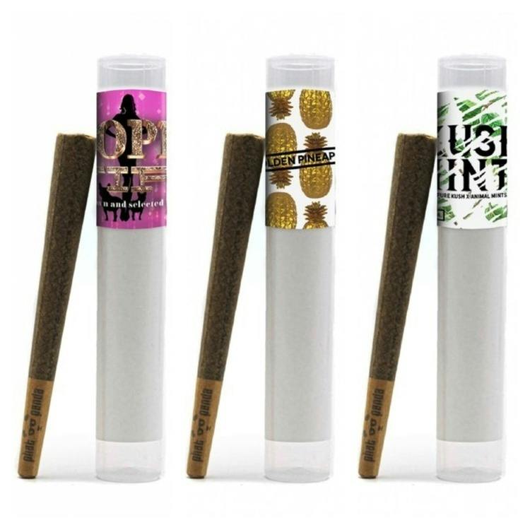 Phat Panda | Traingle Kush Preroll | 1g at The Bake Shop (Union Gap)